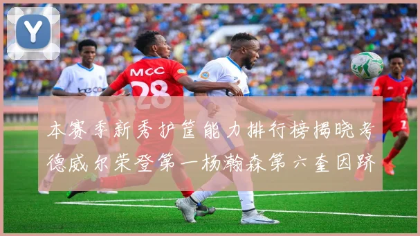 本赛季新秀护筐能力排行榜揭晓考德威尔荣登第一杨瀚森第六奎因跻身前十