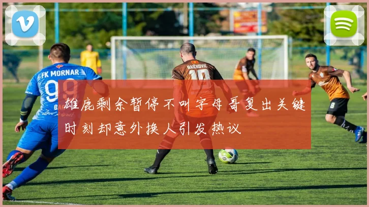 雄鹿剩余暂停不叫字母哥复出关键时刻却意外换人引发热议