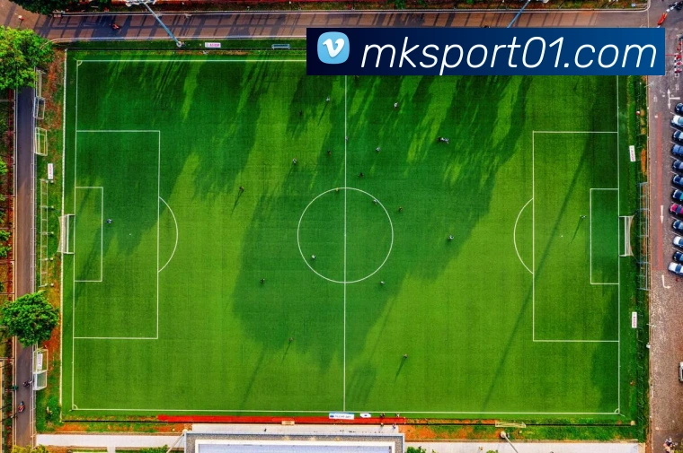 MK体育平台生态图