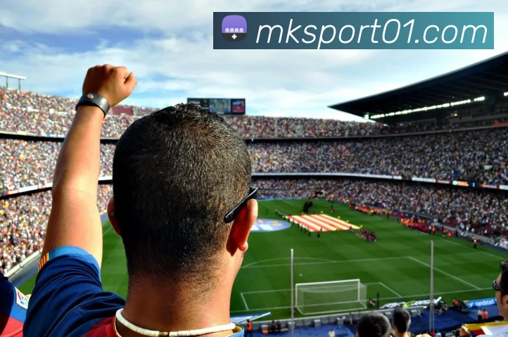 MK体育APP 封面图